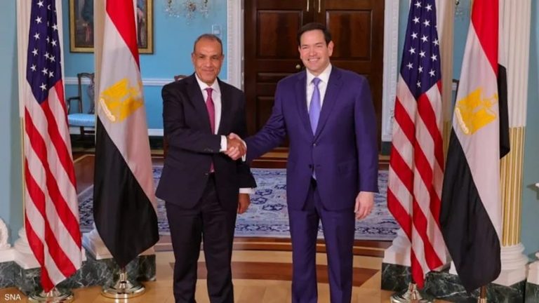 وزير الخارجية المصري