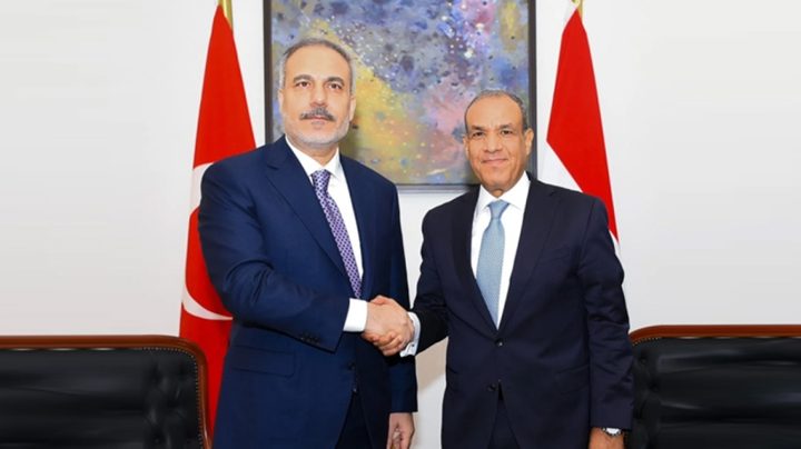 وزير الخارجية المصري