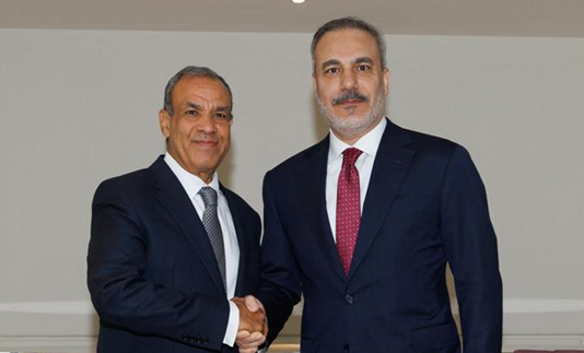 وزير الخارجية المصري