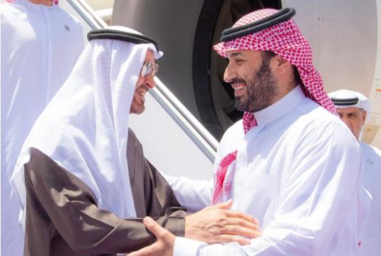 محمد بن زايد