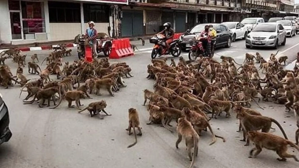 ولاية ميسيسيبي