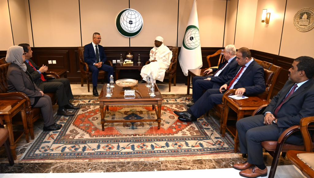 بيان عربي افريقي