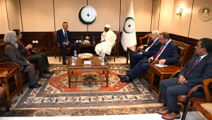 بيان عربي افريقي