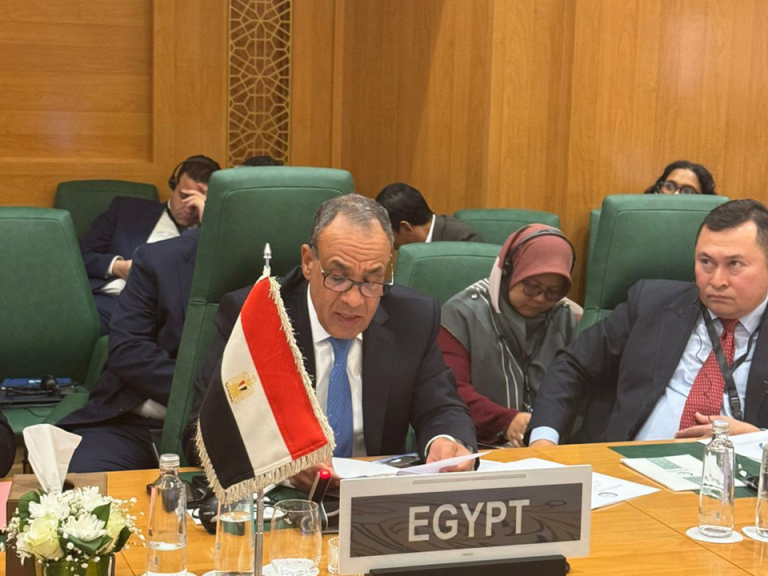 وزير الخارجية المصري
