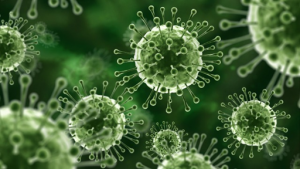 فيروس نيباه