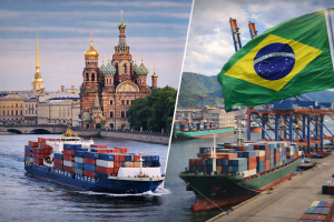روسيا والبرازيل