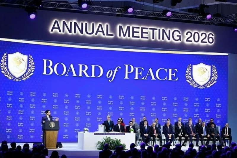 مجلس السلام