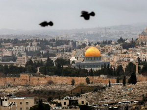 مجلس الافتاء