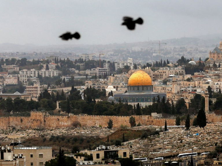 مجلس الافتاء