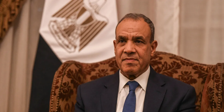 بدر عبدالعاطي