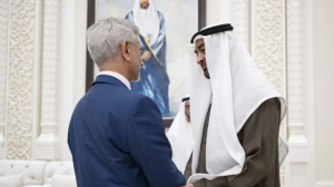 محمد بن زايد