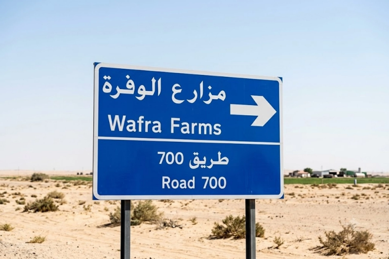 الكويت