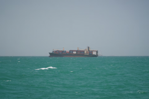 الحوثيون