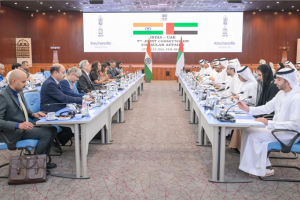 الإمارات والهند