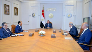 السيسي